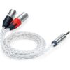 iFi Audio 4.4mm to XLR Cable 1M