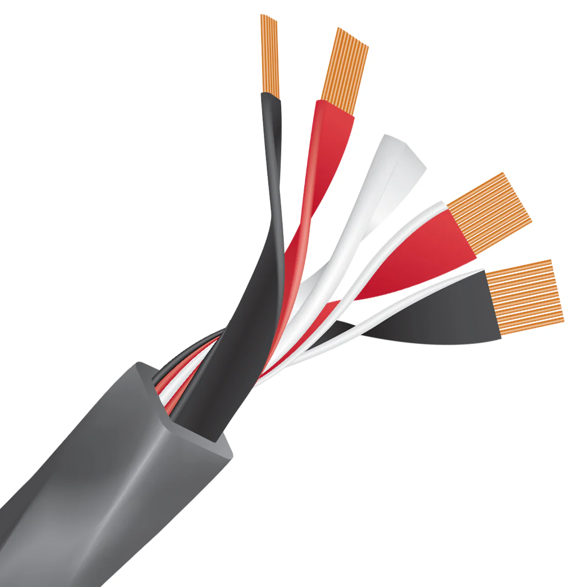 Wireworld EQUINOX 10 - Kabel głośnikowy (EQS) (BAN-BAN) - Para - obrazek 3